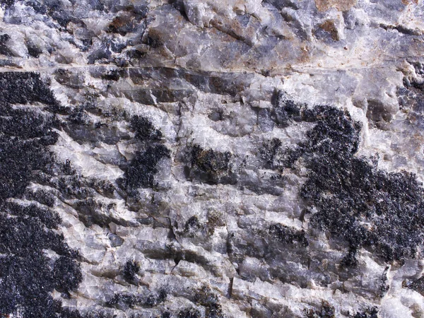 Struttura di pietra di colori bianchi e grigi neri. Superficie rocciosa. Sfondo materiale naturale. Boulder con frazioni di quarzo e macchie. — Foto Stock