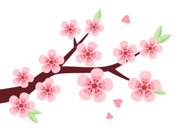 Sakura, kiraz ağacı dalı basit düz bir şekilde izole edilmiş vektör çizimi. Bahar klibi tasarım elementi. Bahar mevsimi çiçek kavramı.