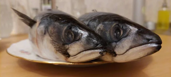 Two Herring Fish Lie Platter Table — Stock Photo, Image