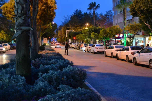 Yol Boyunca Park Halindeki Arabalarla Bir Güney Şehrinde Akşam Sokağı — Stok fotoğraf