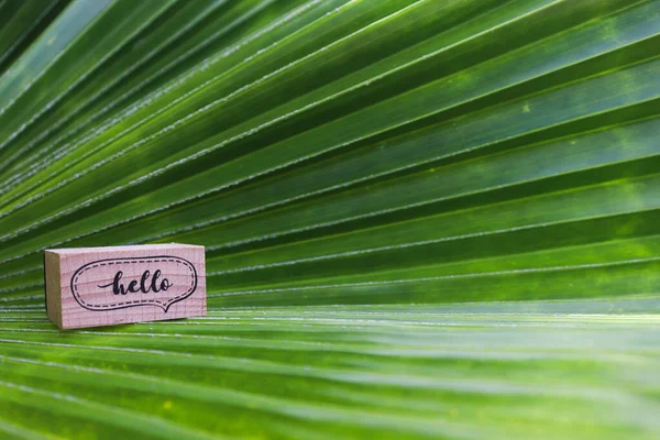 Palmblatt und Holzwürfel mit dem Wort HELLO drauf. — Stockfoto