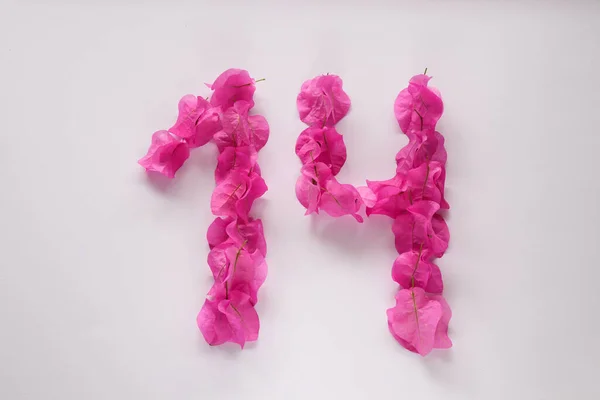 Číslice 14 z růžových tropických květin. Izolováno na bílém. — Stock fotografie