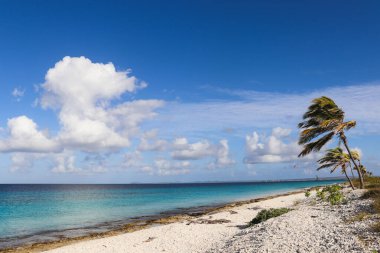 Turkuaz renkli deniz olan terk edilmiş bir sahil. Güzel deniz manzarası. 