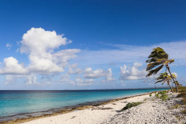 Turkuaz renkli deniz olan terk edilmiş bir sahil. Güzel deniz manzarası. 