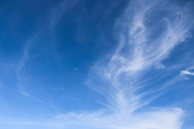 Bulutlu mavi gökyüzü. Mavi gökyüzü arkaplanı.