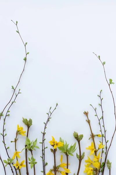 Frühlingsrahmen aus Zweigen mit ersten Blättern und Blüten. Auf weißem Hintergrund. — Stockfoto