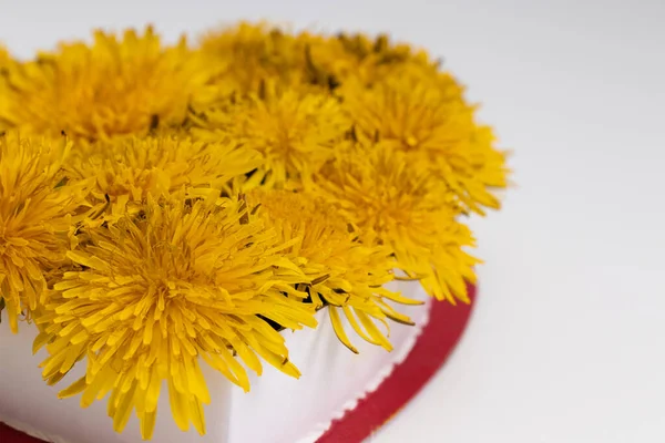 Dandelion yellow flowers in a gift box on a white background. — Stock Photo, Image