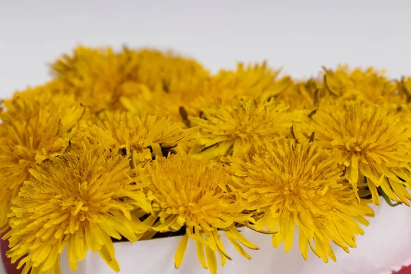 Dandelion yellow flowers in a box on a white background. — Stock Photo, Image