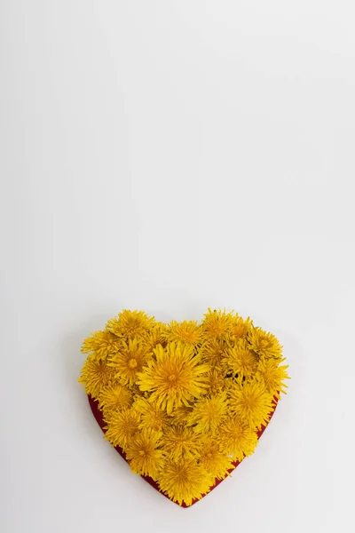 Flores de dente de leão em forma de coração. — Fotografia de Stock