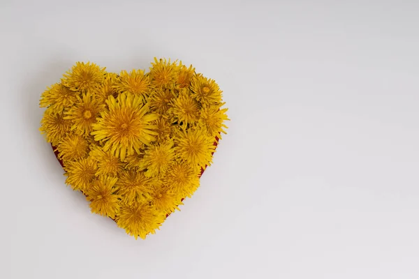 Sarı çiçeklerden yapılmış bir kalp. Çiçekli kalp. — Stok fotoğraf