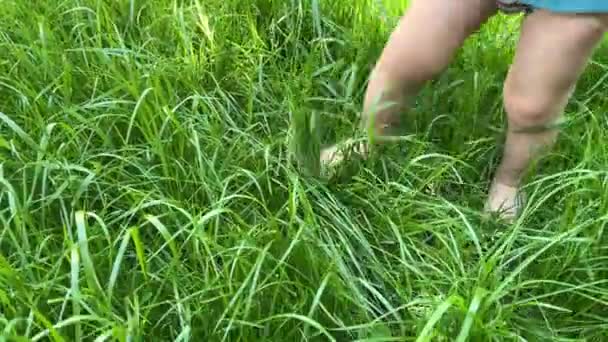 4k幼儿的脚在绿草中行走. — 图库视频影像
