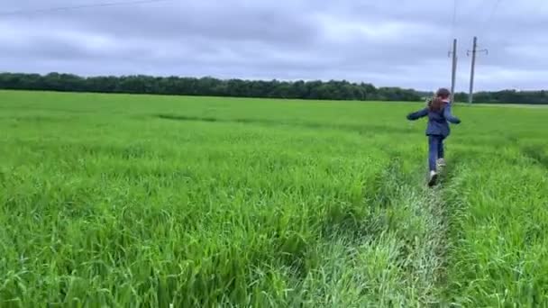 4K Kız bir köpekle yeşil arazide koşuyor.. — Stok video