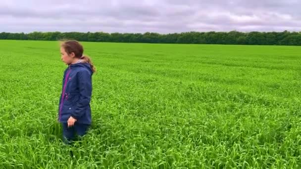 4k Kız buğday tarlasında tek başına birini arıyor.. — Stok video