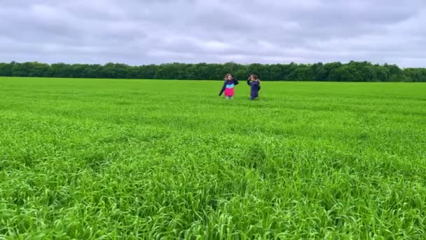 4k İki kız ikiz koşar, sarılır ve yeşil bir alanda oynarlar. — Stok video