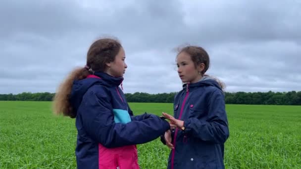 4k Twin Girls pratar med varandra. Tvillingflickor på ett klargrönt fält. — Stockvideo