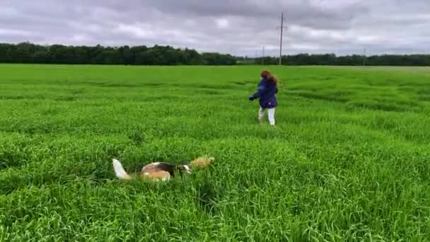 Les jumelles 4k Girls jouent avec leur chien. Les sœurs jouent avec leur chien sur un terrain vert. — Video