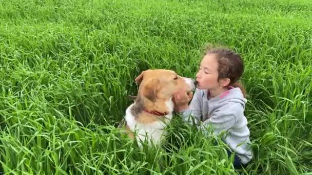 4k Klein schattig meisje kussen en knuffelt haar hond op een groen hoog gras. — Stockvideo