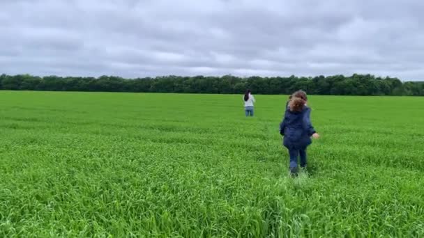 4k Moeder met haar dochters op een wandeling op een tarweveld. — Stockvideo