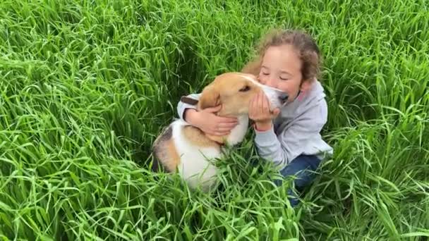 4k Klein meisje kust en knuffelt haar hond op een groen hoog gras. — Stockvideo