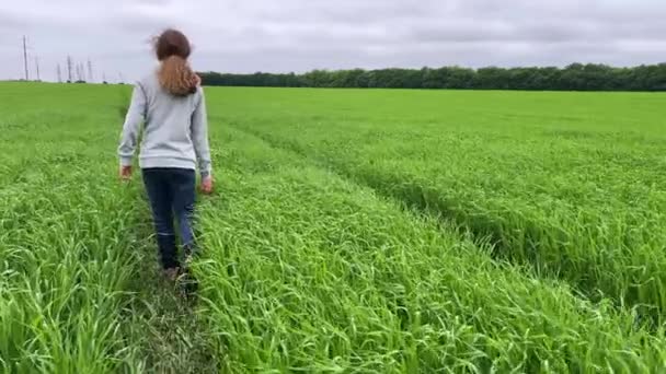 4k Meisje loopt op een veldpad. Achteraanzicht. — Stockvideo