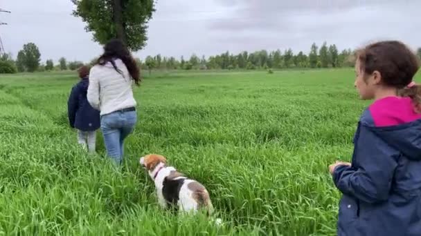 4k Die Familie kehrt von einem Spaziergang mit dem Hund auf dem Weg in die grüne Wiese zurück. — Stockvideo