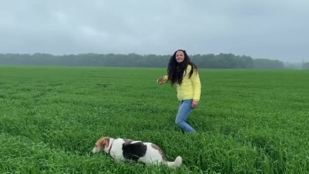 4k fille mignonne marche avec un chien dans un champ vert et appeler quelqu'un. — Video