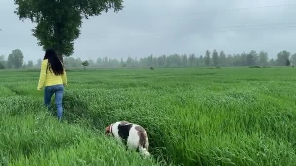 4k Trouwe hond die de eigenaar volgt. Meisje wandelen met een hond. — Stockvideo