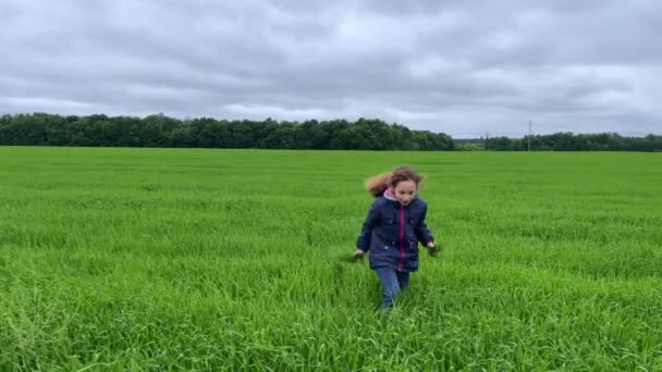 4K Küçük kız bir tarlada çim biçiyor. Yeşil tarladaki kız. — Stok video