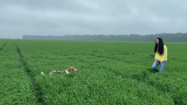 4K Kız yeşil bir alanda köpekle yürüyor.. — Stok video