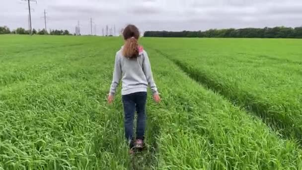 4k Meisje loopt op een veldpad. Achteraanzicht. — Stockvideo