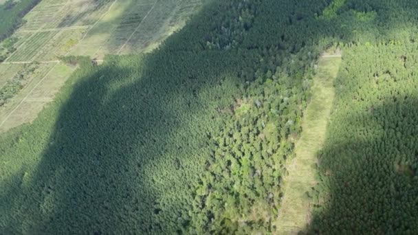 4k Πετώντας πάνω από το καταπράσινο τοπίο με χωράφια, δάση και εξοχή — Αρχείο Βίντεο