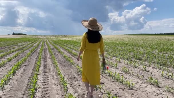 4k Dziewczyna w słomkowym kapeluszu kroczy przez pole z dzikimi kwiatami w dłoni. — Wideo stockowe