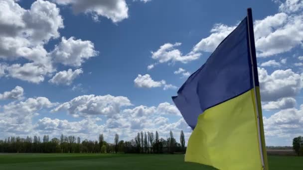 Ukrainian flag waving from wind on a sky and nature background. — Stock Video