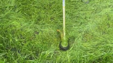 Elektrikli budama bıçağı çimleri keser. Bahçıvanlık. 