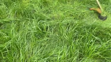 Bahçıvan çim biçme makinesiyle çim biçiyor..