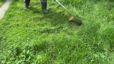 4k bahçıvan çim biçme makinesiyle çim biçiyor. Bahçe bakımı.