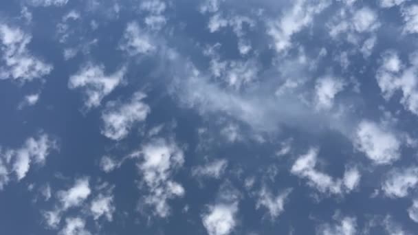 Flugzeug im Flug, ein weißer Streifen am Himmel. Blauer Himmel im Zeitraffer. — Stockvideo