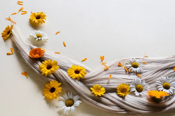 Camomila e flores de calêndula em cabelos loiros. — Fotografia de Stock