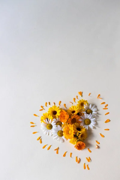 Квіти у формі серця. Літні різнокольорові ромашки . — стокове фото