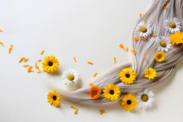 Свиной хвост. Ромашка и цветы календулы в светлых волосах. — стоковое фото