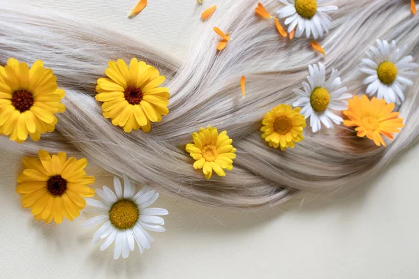 Camomila e flores de calêndula em cabelos loiros. Pêssego. — Fotografia de Stock