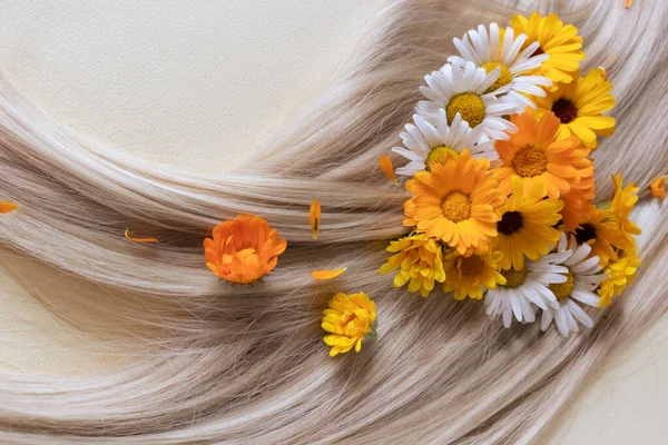 Светлые волосы с ромашковыми цветами. Концепция ухода за волосами. — стоковое фото