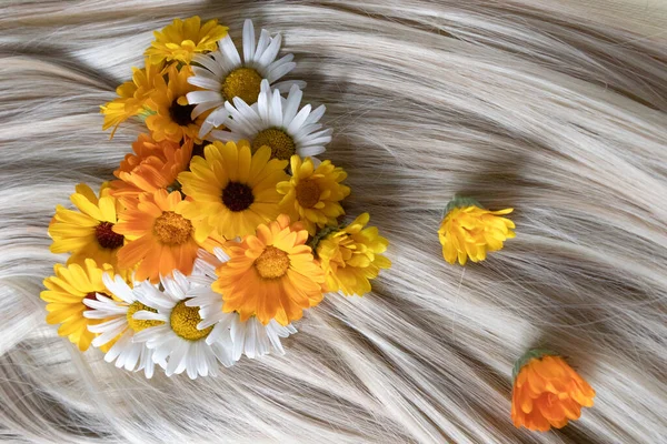 Cabelo loiro brilhante com flores de camomila. Conceito de cuidados capilares. — Fotografia de Stock