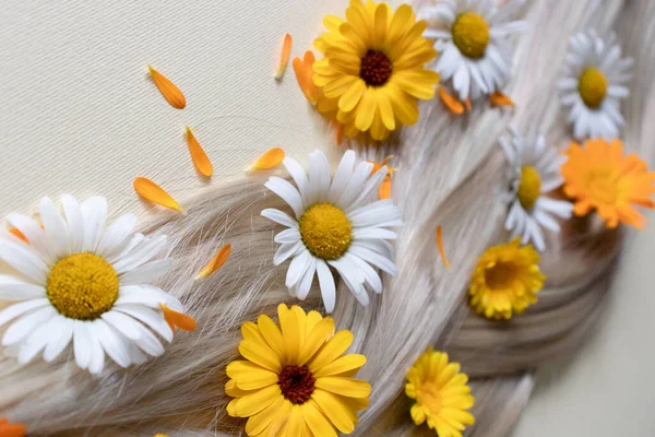 Flores medicinais com cabelo loiro liso. Flores de verão no cabelo. — Fotografia de Stock