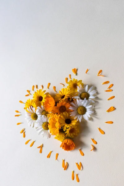 Flores em forma de coração closeup. Verão flores margarida multicoloridas. — Fotografia de Stock
