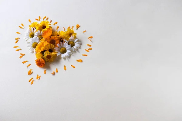 Margarida e calêndula flores em forma de coração. — Fotografia de Stock
