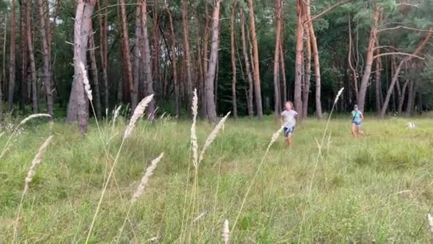 4k Moeder met dochter en hond op het bospad. — Stockvideo