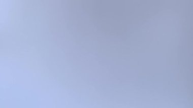 100 dolarlık banknotlar yavaşça düşüyor. Para arkaplanı.