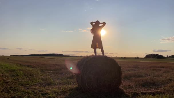 4k Silueta de una mujer en una pila de heno en un campo contra la luz del sol. — Vídeos de Stock