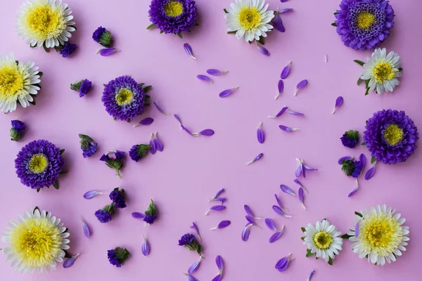 Fundo floral de lilás e astros amarelos. — Fotografia de Stock